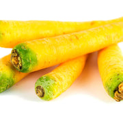 Carote Gialle