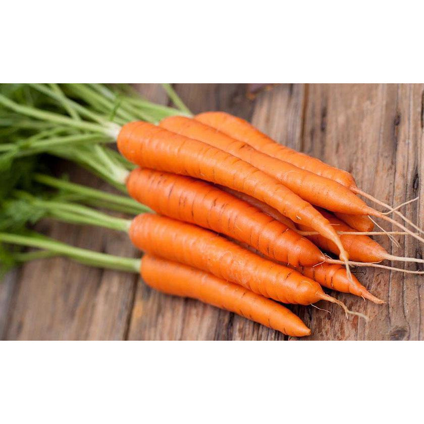 Acquista carote fresche a mazzo online con Frutt'it - Verdura a domicilio