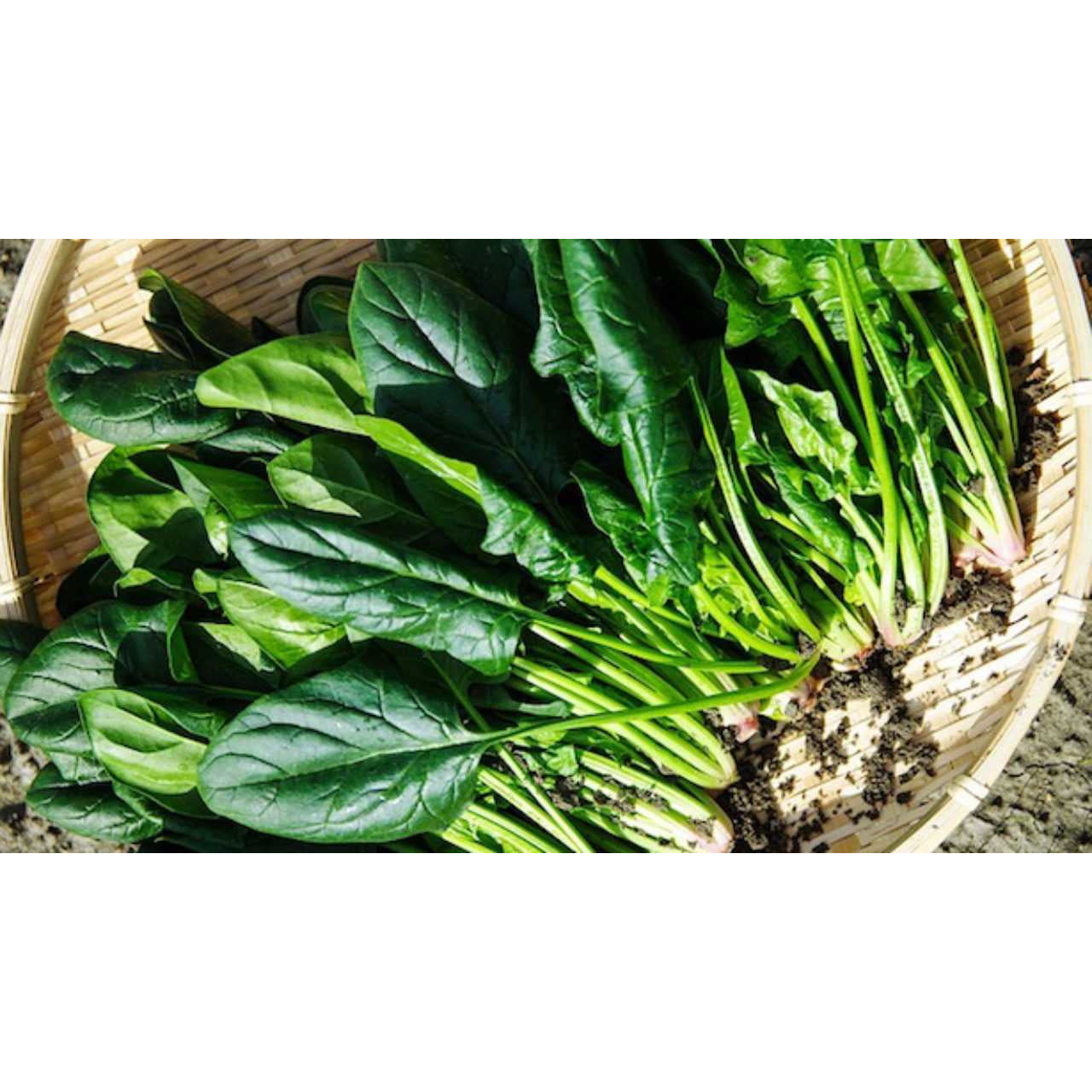 Acquista spinaci online con Frutt'it - Verdure fresche online