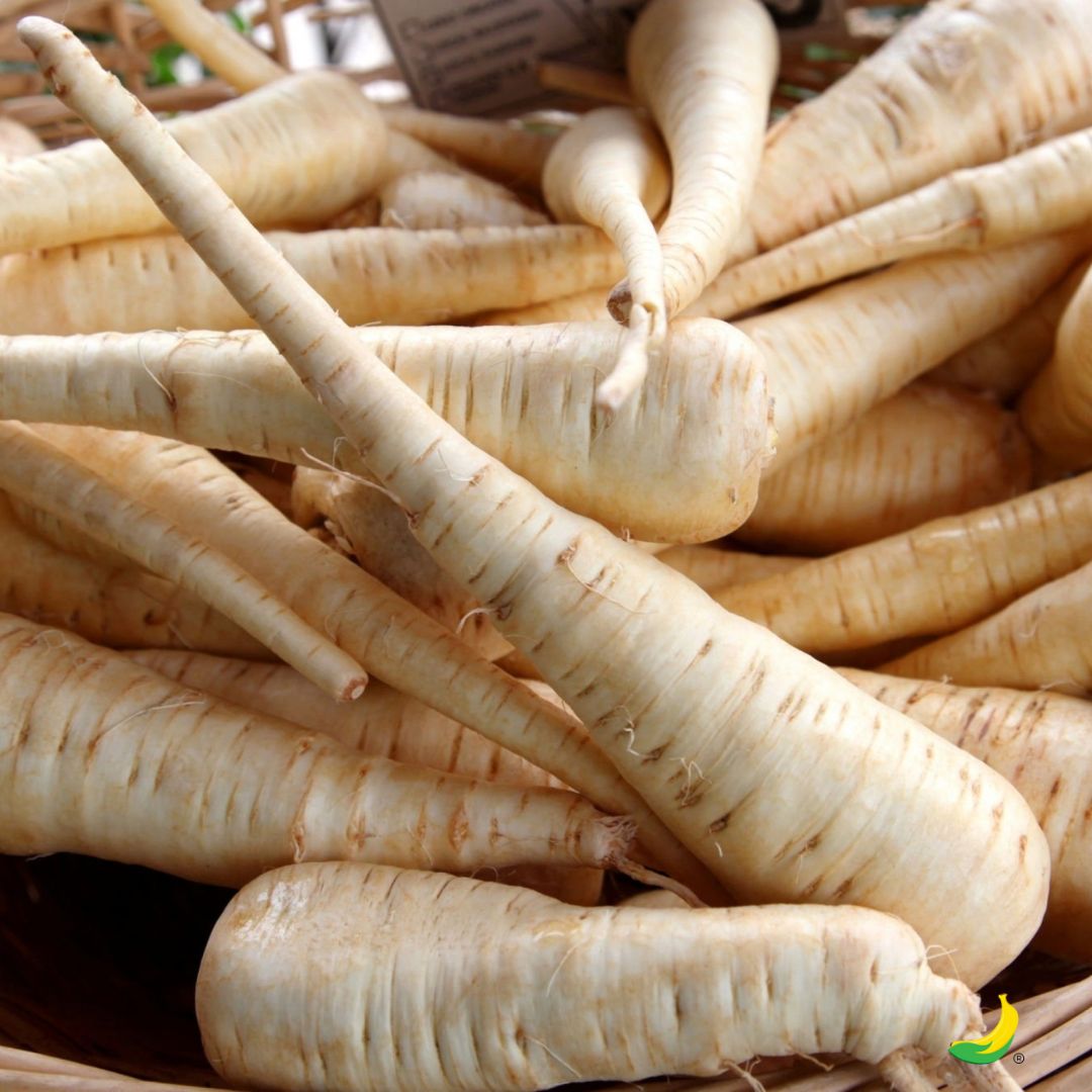Pastinaca: Proprietà, benefici e come usarla in cucina