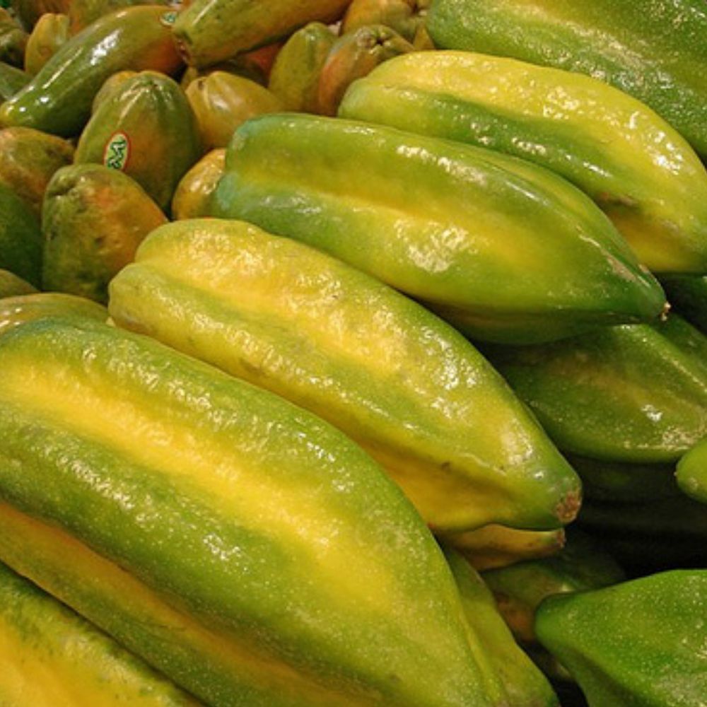 Babaco: la papaya delle Ande che non sapevi di volere