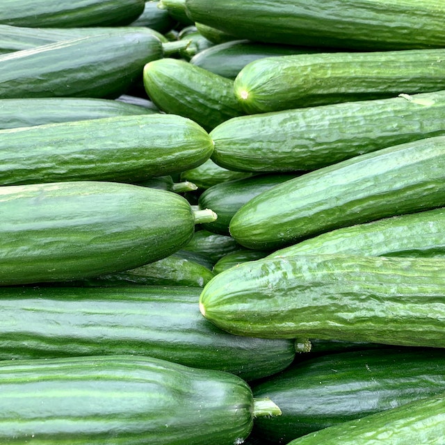 Scopriamo tutto sui cetrioli: proprietà, varietà e come cucinarlo!