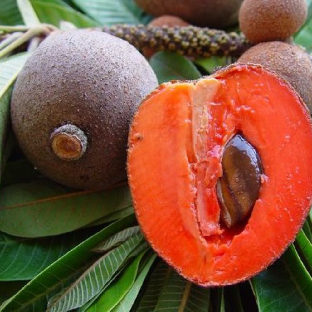 Cos'è il Mamey Zapote? Il frutto tropicale che sa di crema pasticcera