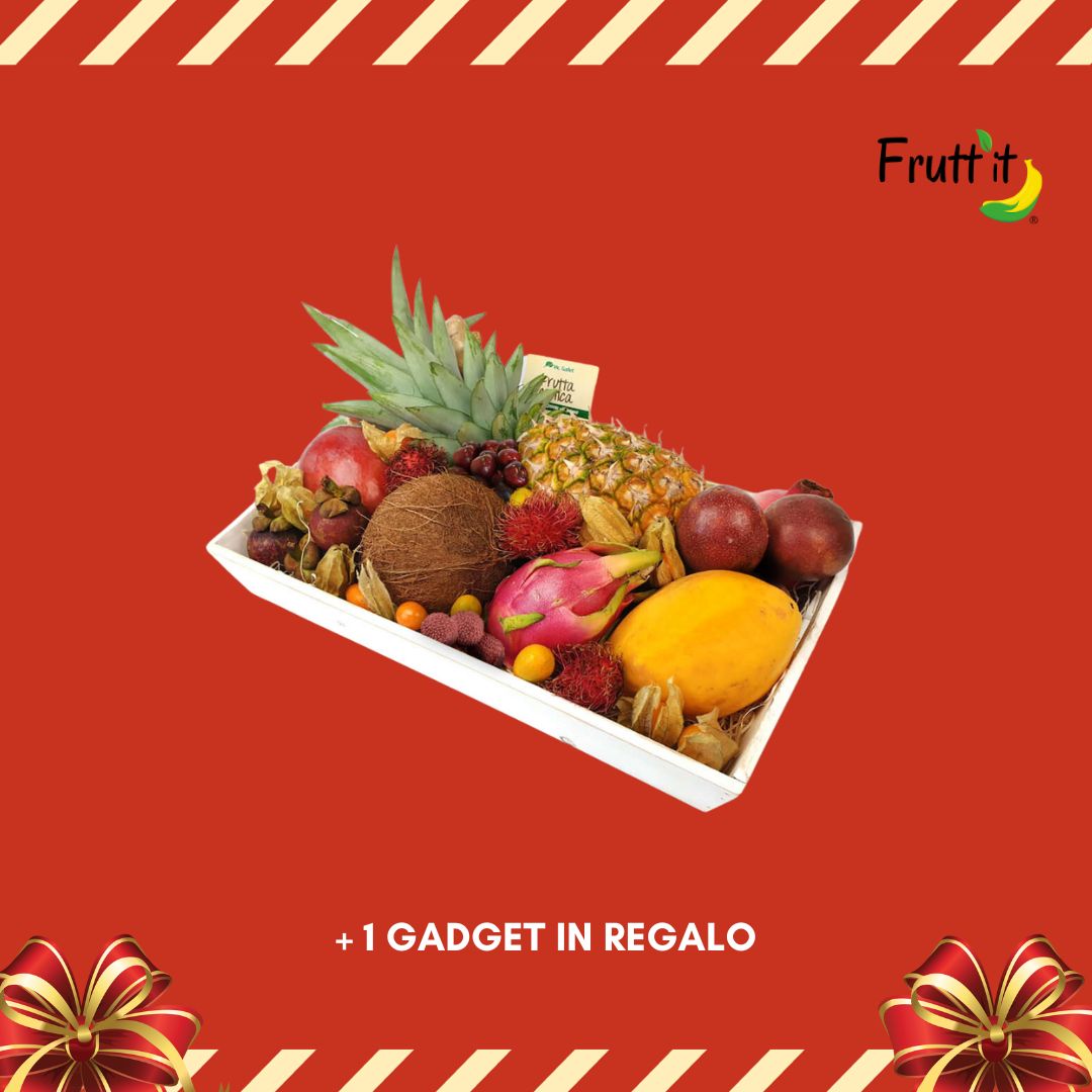 Small Christmas Exotic Fruit Packet 