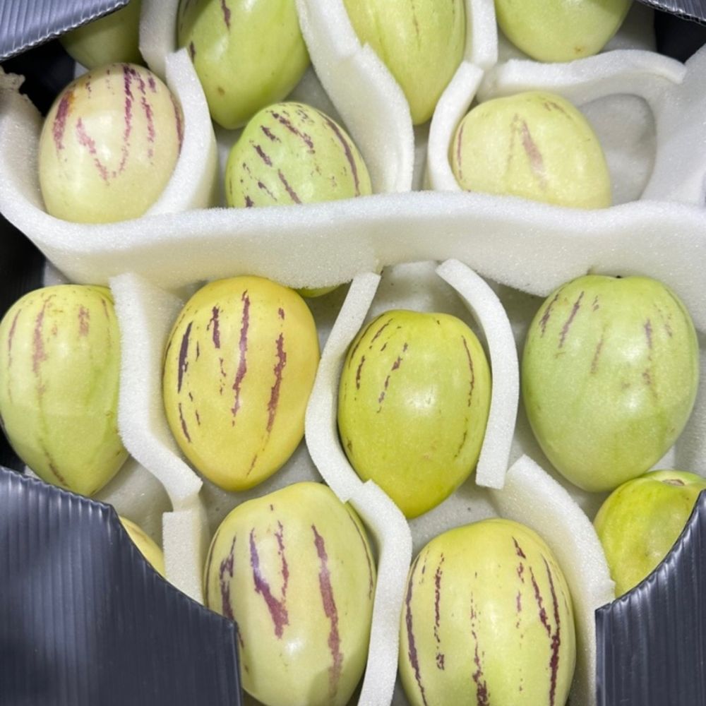 Pepino 1 cassa 2 kg
