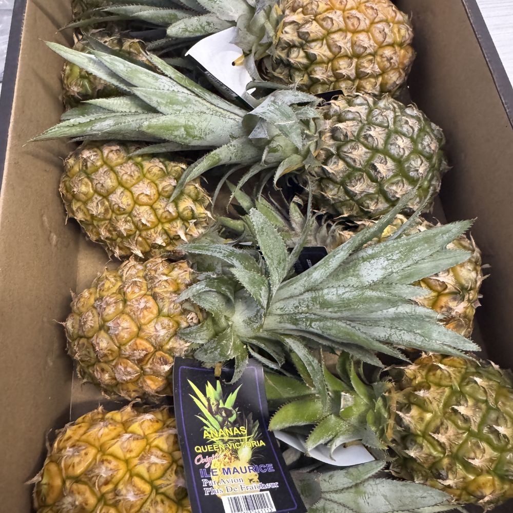Ananas baby 1 cassa 8/10 Frutti