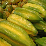 Babaco 1 Frutto