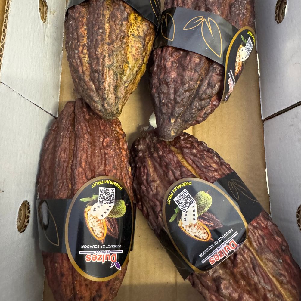 Cacao 1 cassa 3/4 pezzi