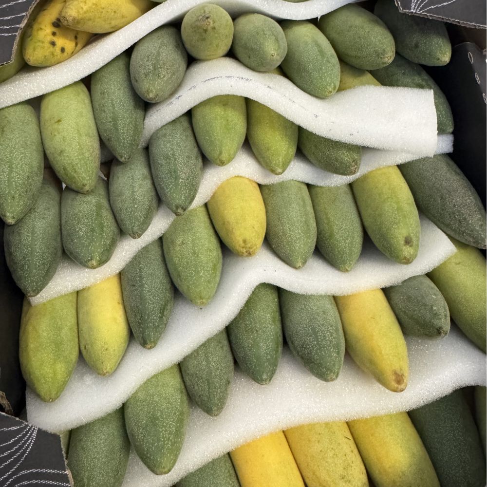 Curuba 1 cassa 2 kg