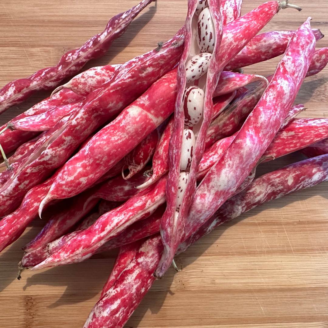 acquista fagioli borlotti online