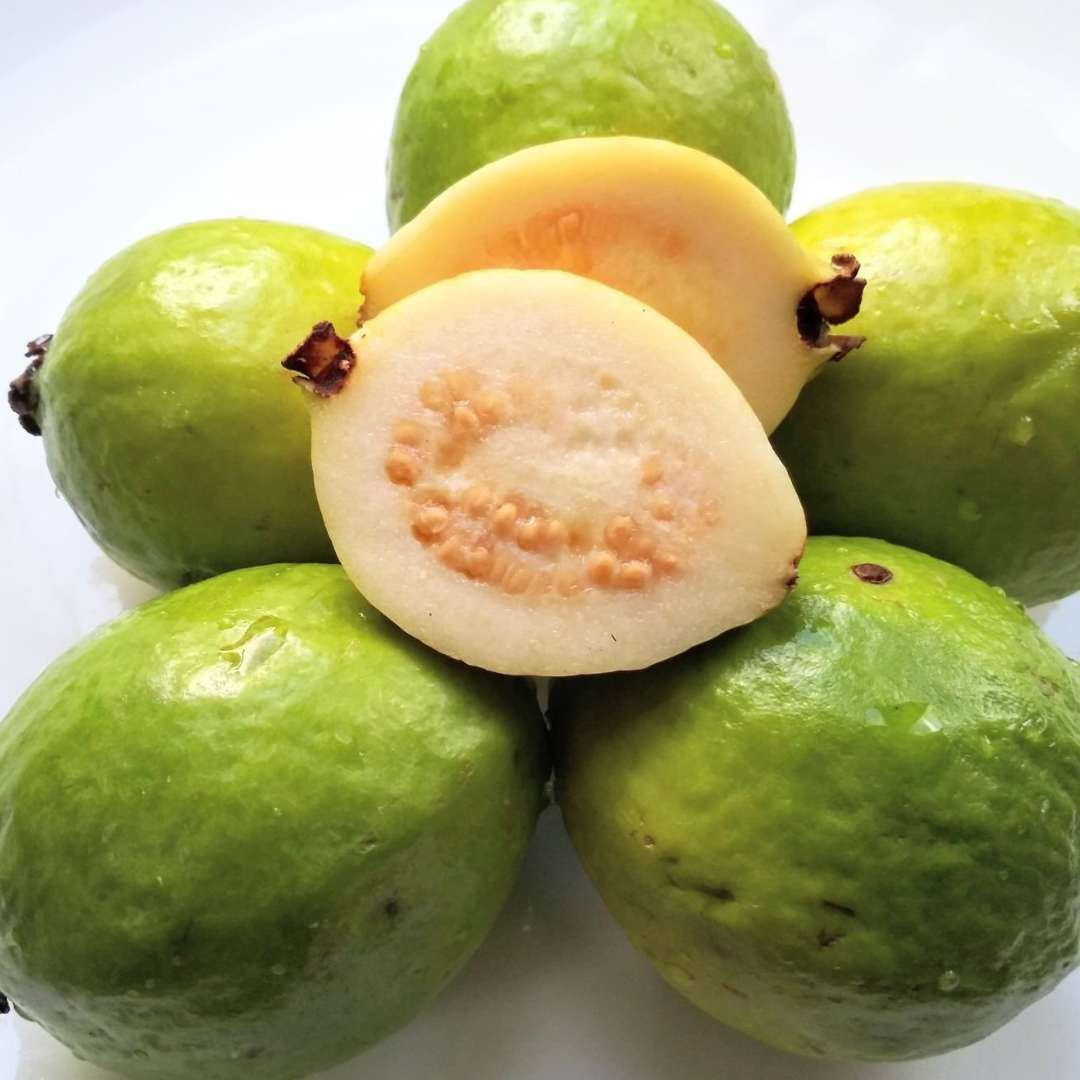 Guava 1 Fruit