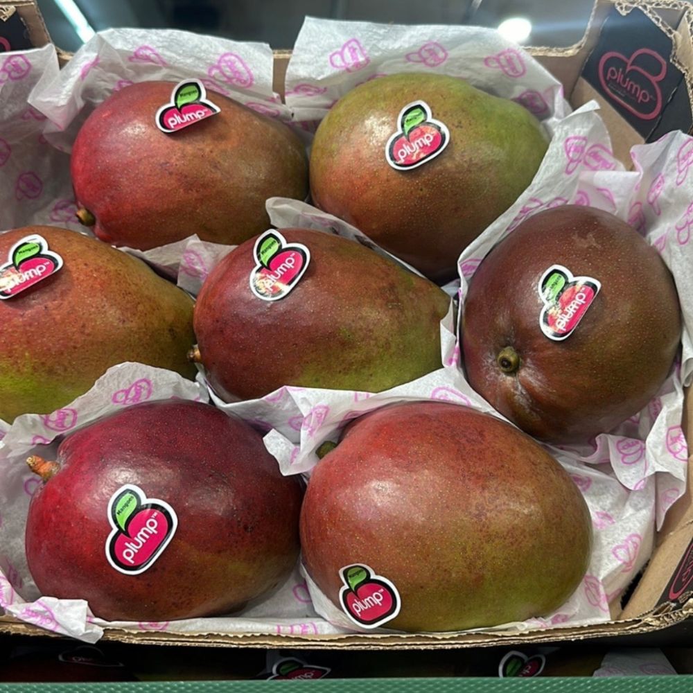 Mango 1 Cassa