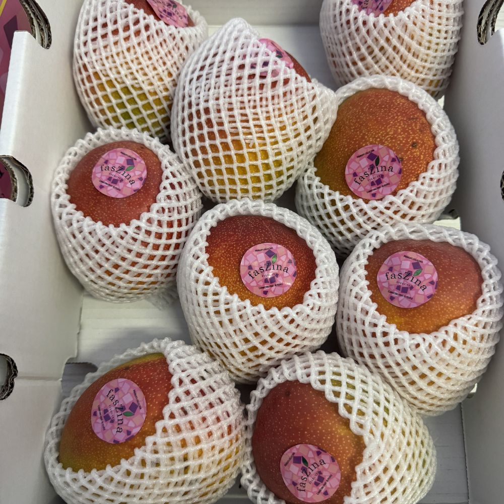 Mango Via Aerea 1 cassa 8/10 Frutti