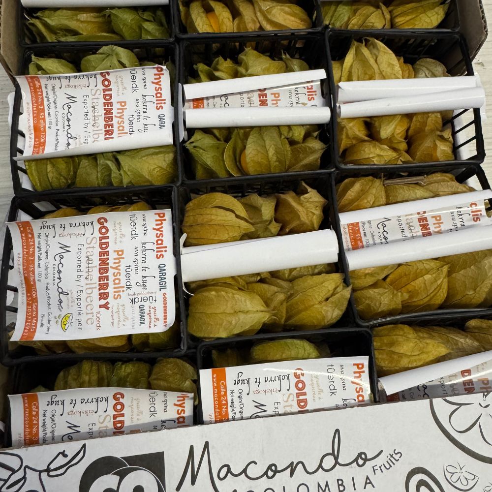 Physalis 1 cassa 12 cestini