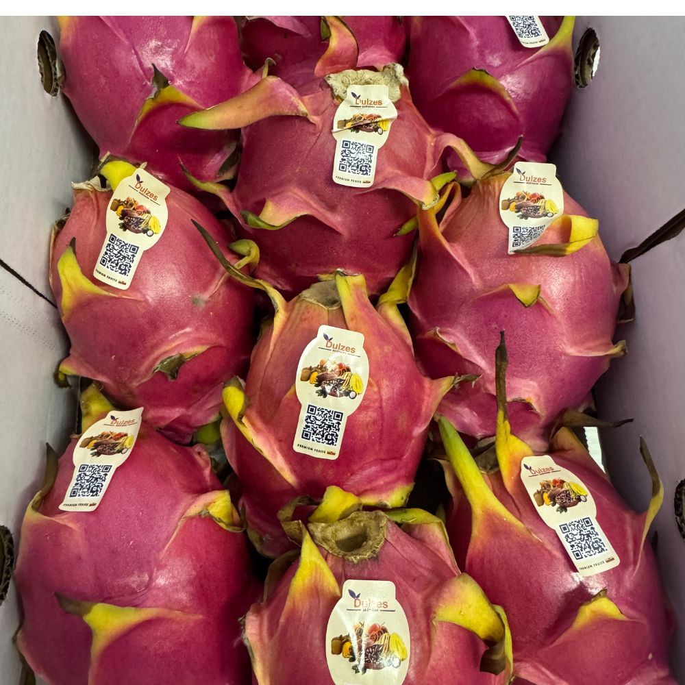 Pitaya/Frutto del drago 1 cassa 7/9 Frutti