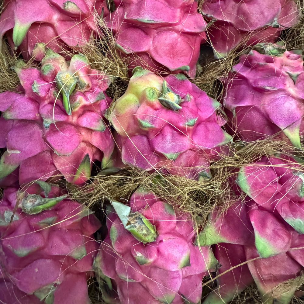 Pitaya Rossa 1 cassa 7/9 Frutti