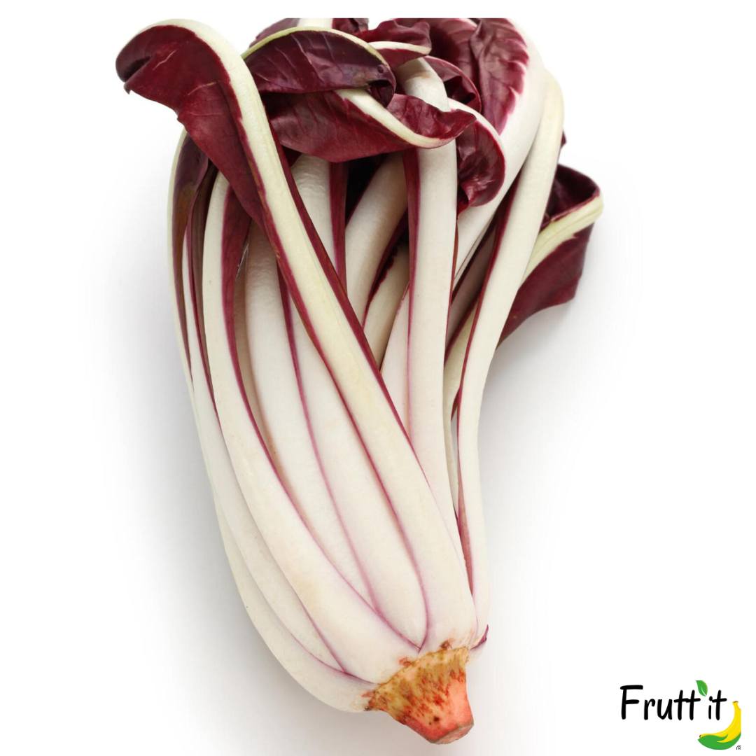 Radicchio tardivo 1 pianta