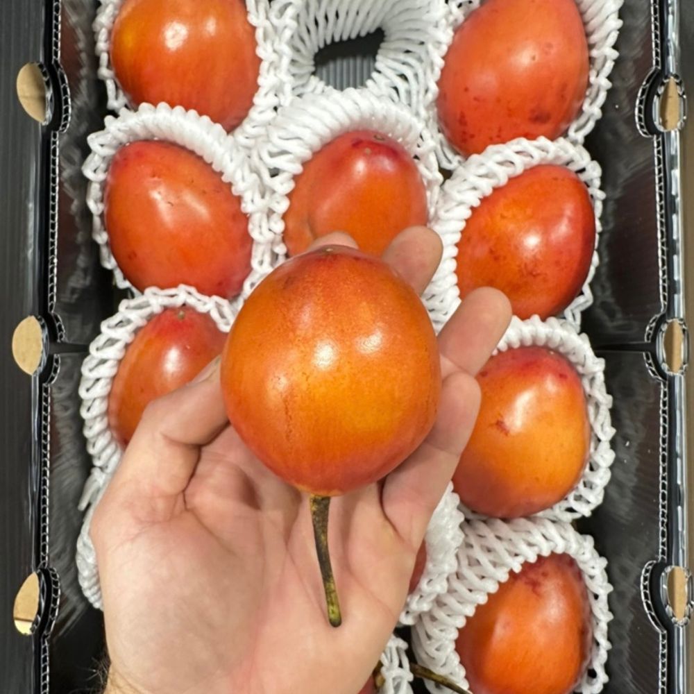 Tamarillo 1 cassa 2 kg