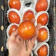 Tamarillo 1 cassa 2 kg