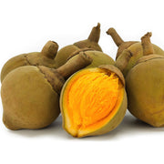 Zapote 1 Frutto