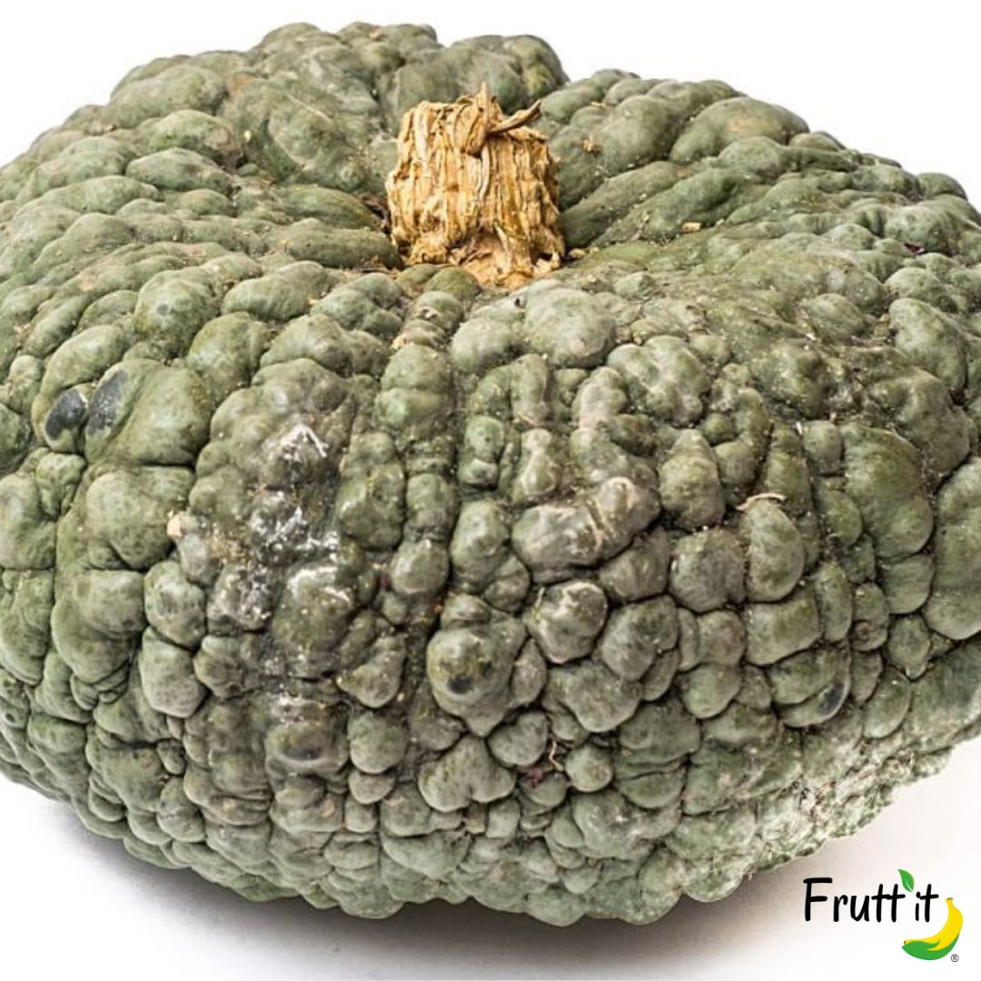 Zucca delica Mantovana