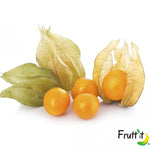 Alchechengi ( Physalis ) 1 vaschetta 100gr