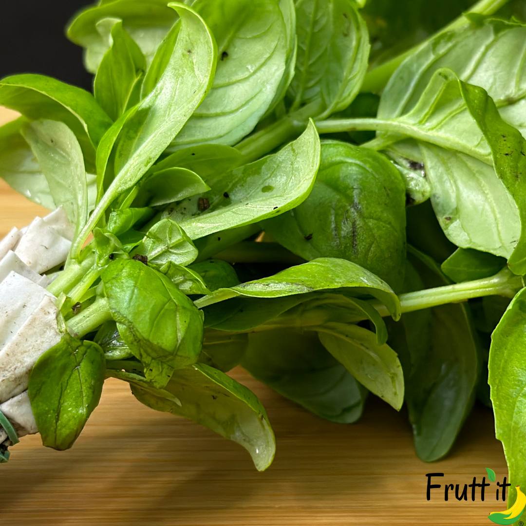 basilico bio a domicilio