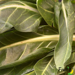 cicoria bio a domicilio