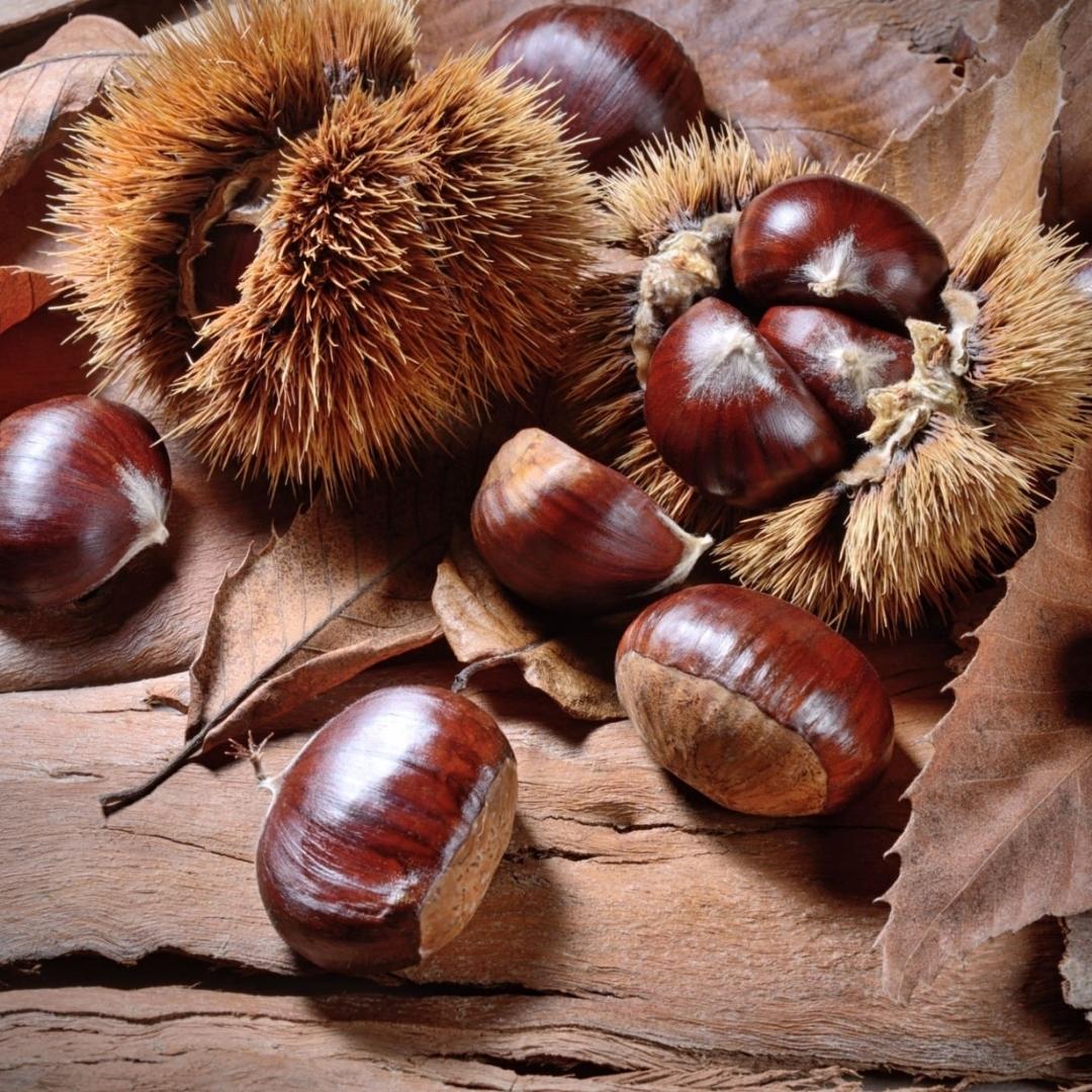 Castagne a domicilio 