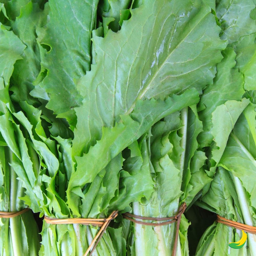 Cicoria pulita 1kg