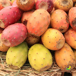 Fichi D'india