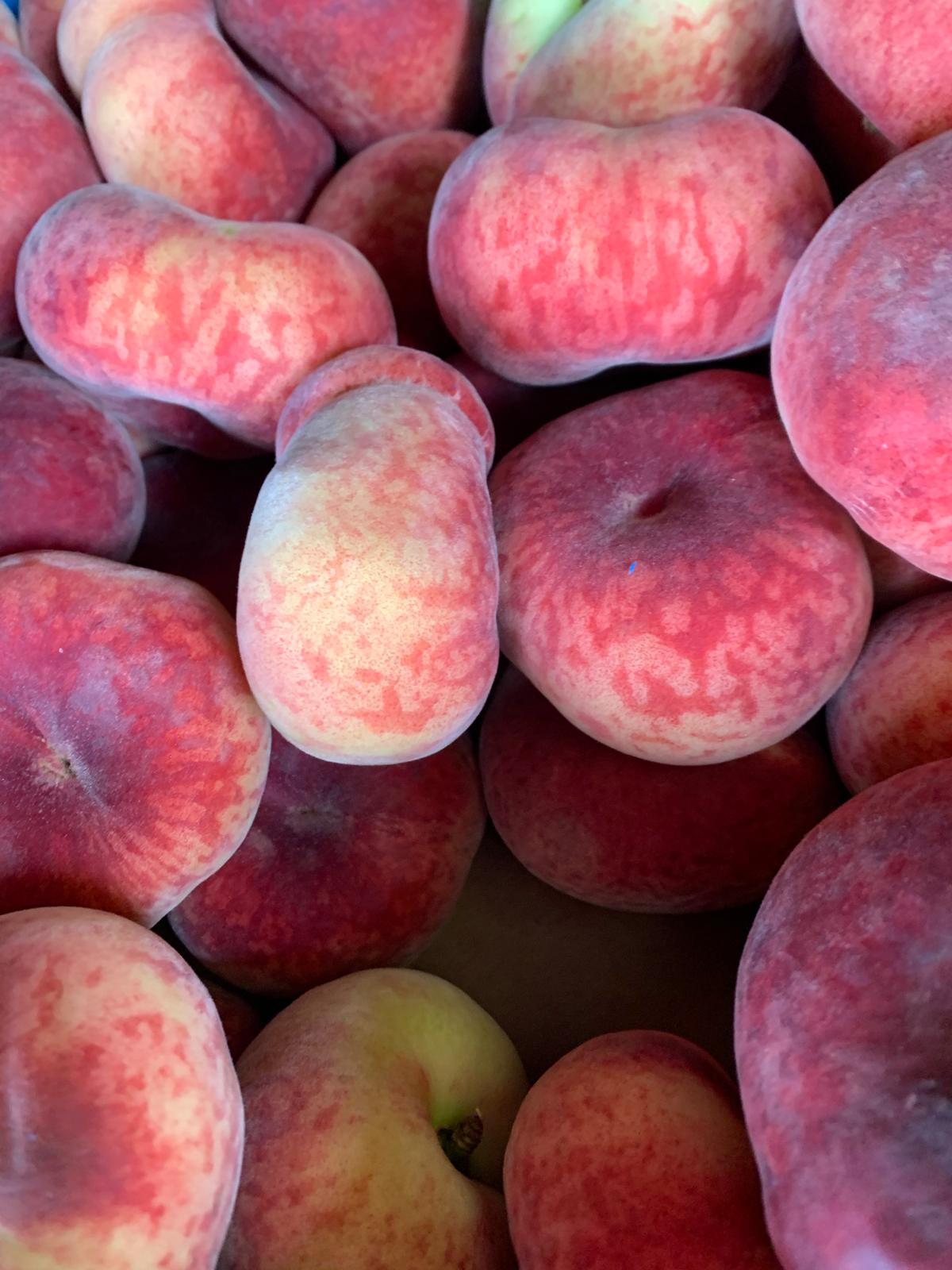 Pesca Tabacchiera ( Saturnina ) 1 kg