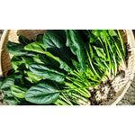 spinaci a foglia | Frutta e verdura domicilio