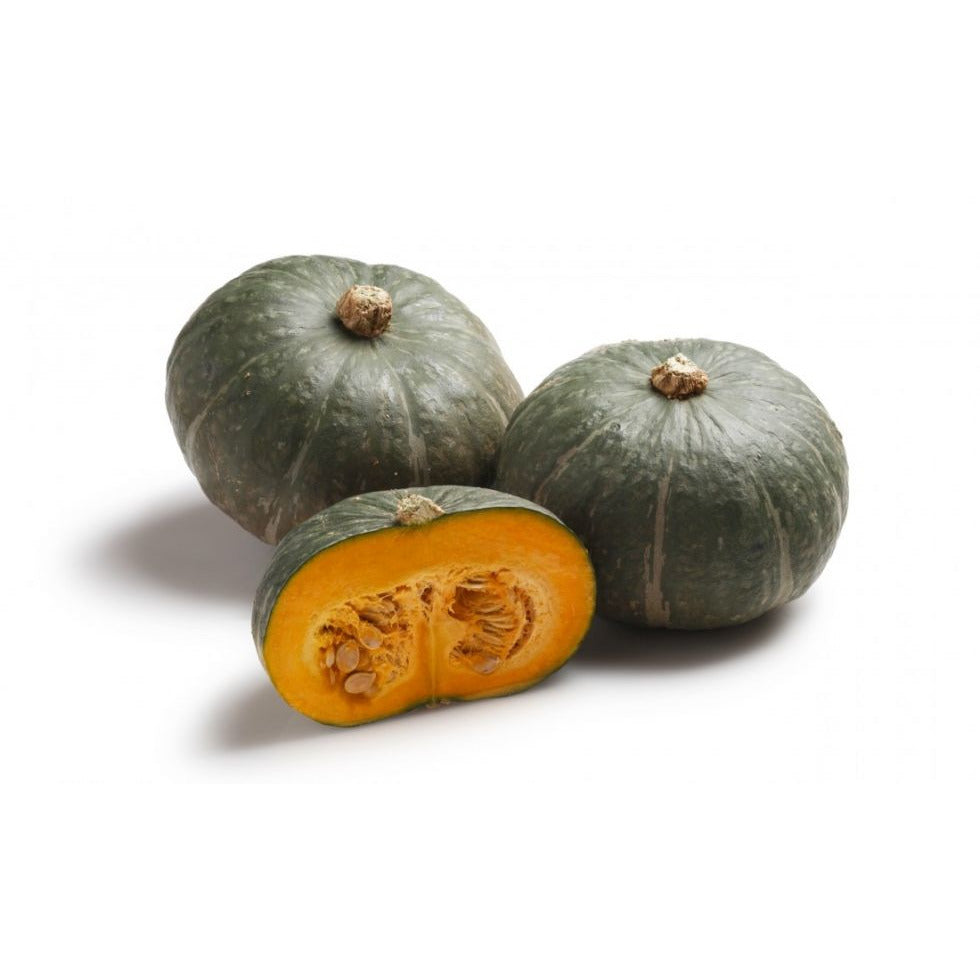 Zucca delica in vendita online - Justfruit