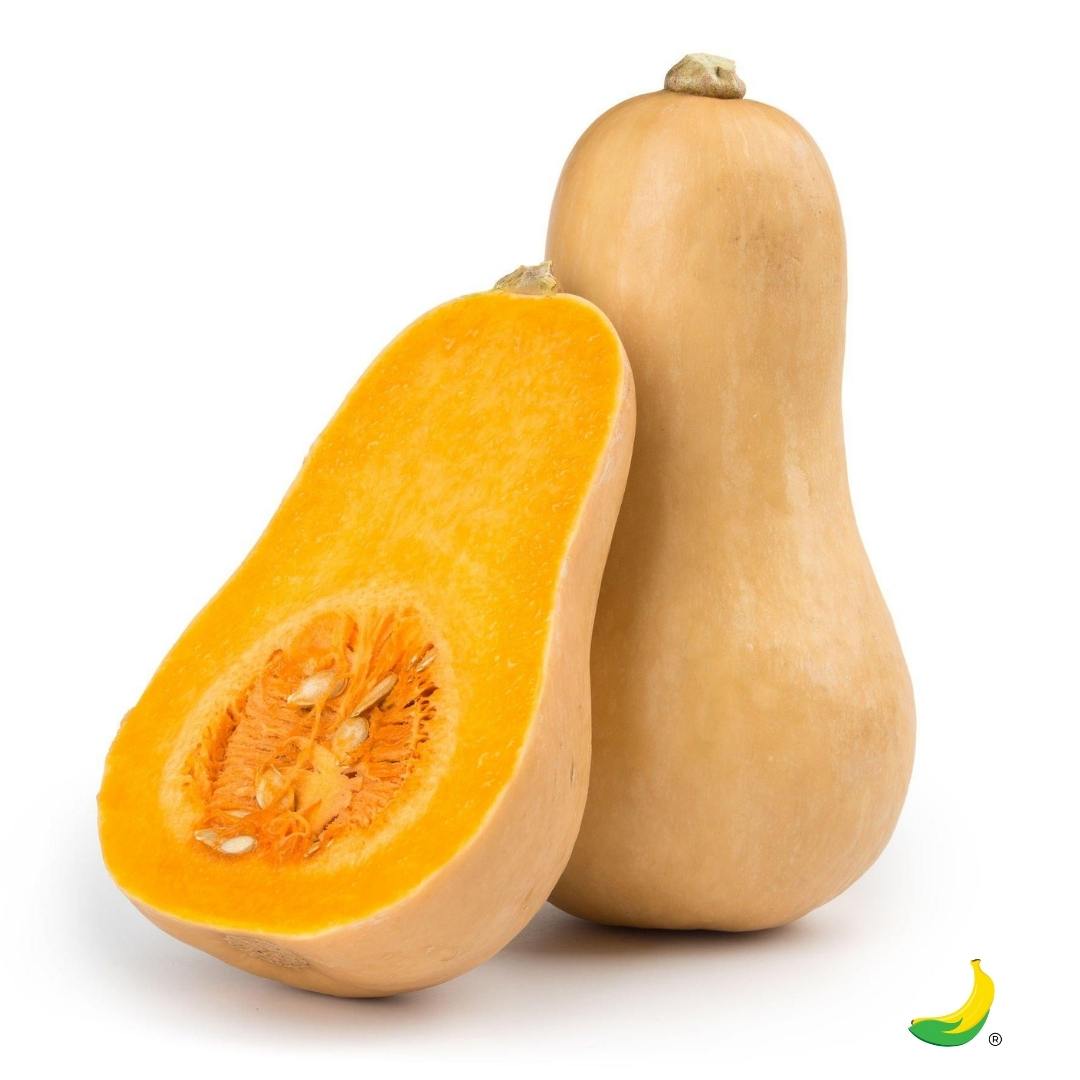 Zucca Butternut ( Violina ) 1 Pezzo